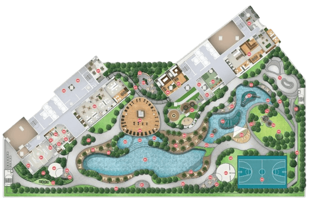 Amara map